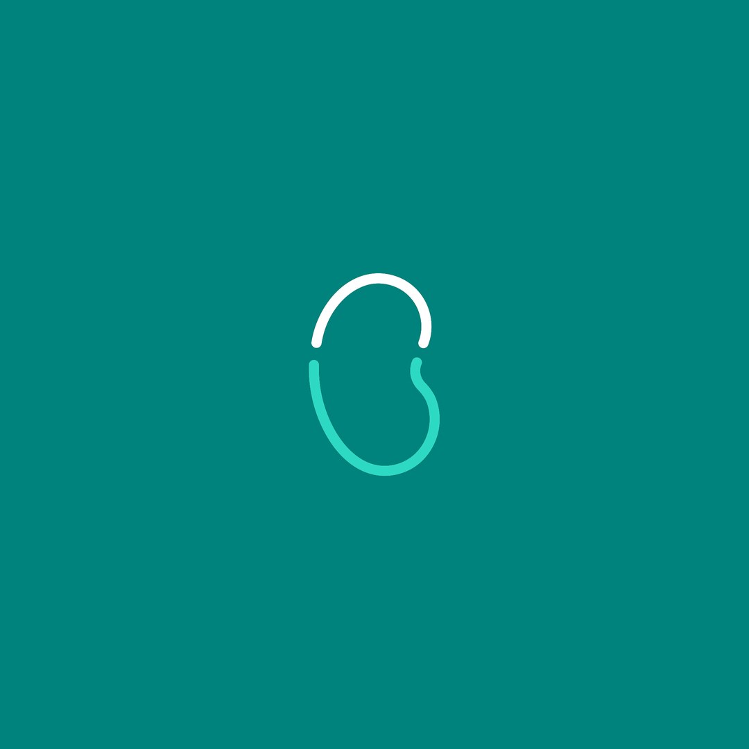 Kidney-shaped hunter valley urology icon in light teal on deep teal