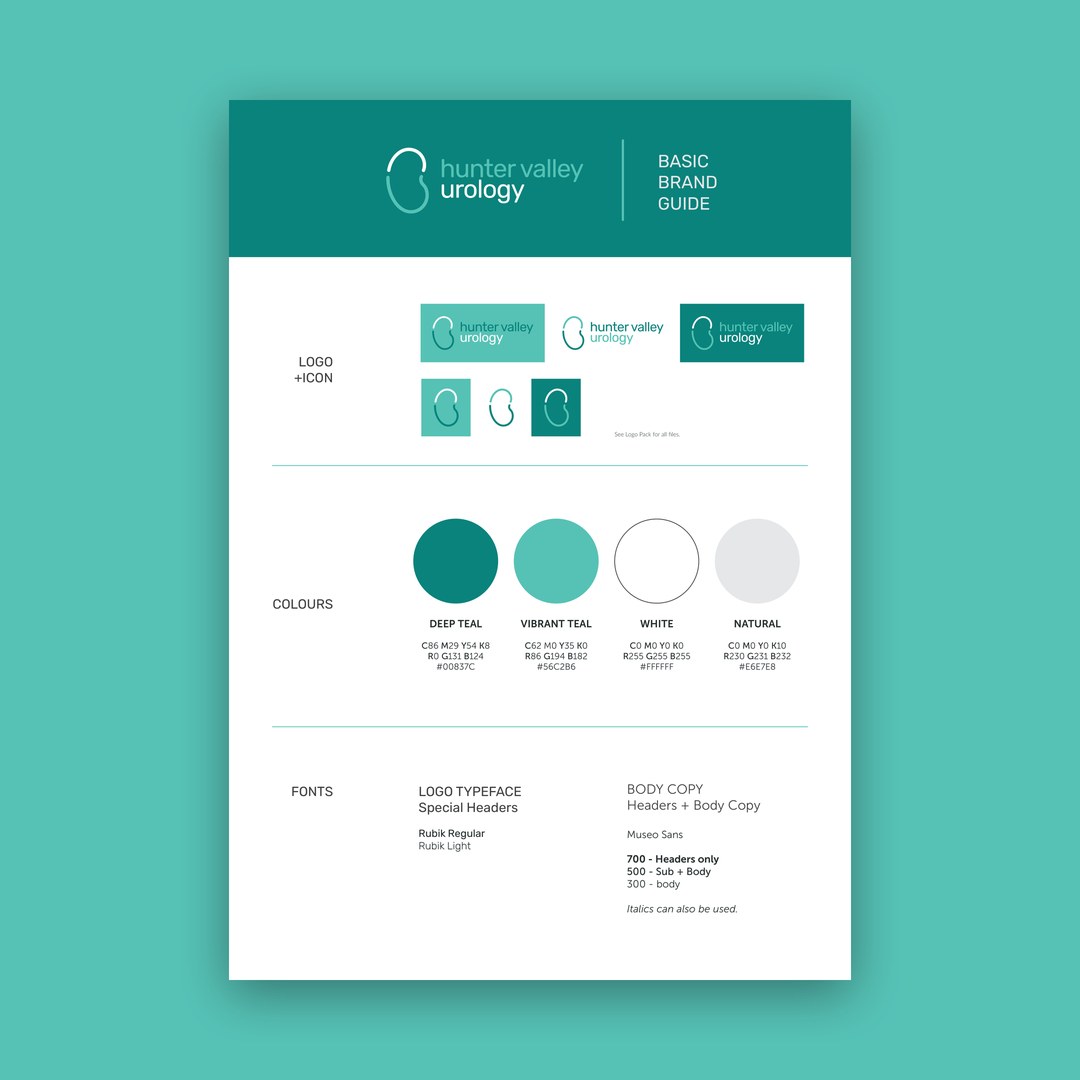 Basic brand guide page with logo versions, colours and fonts