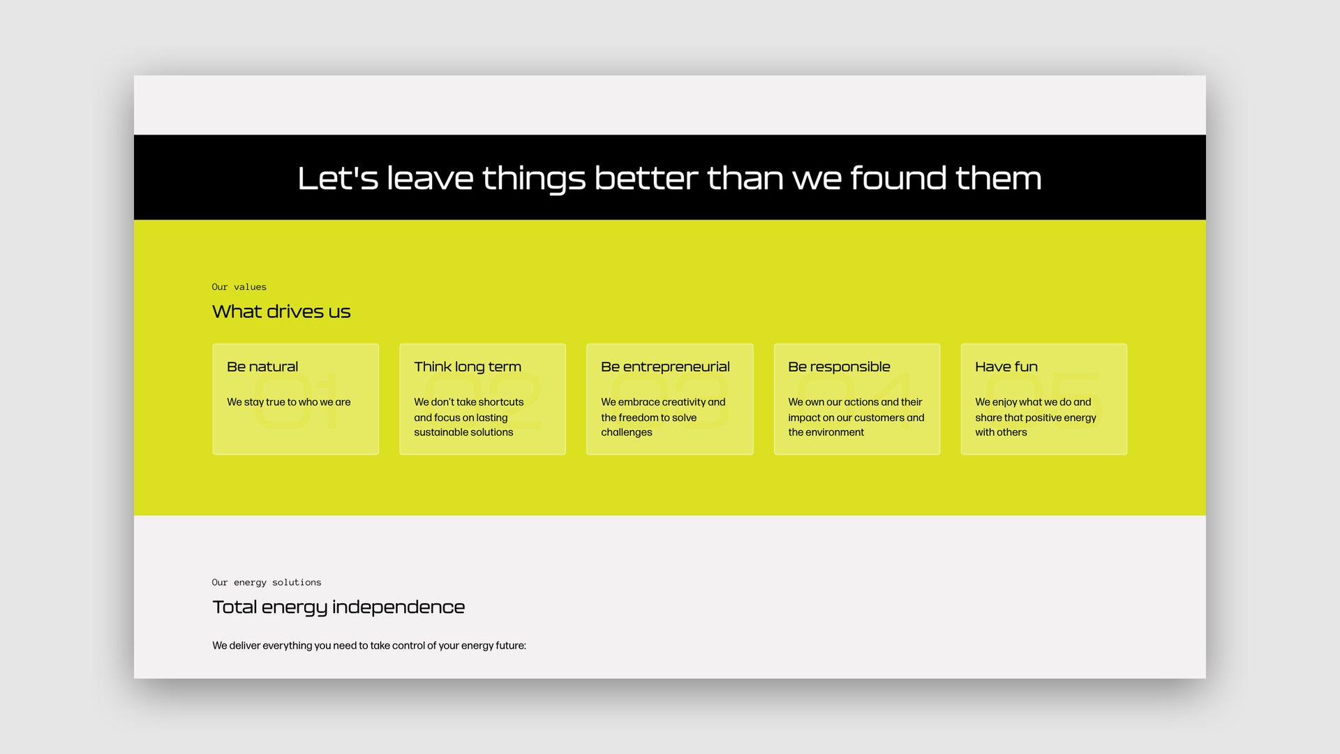 Website page headed Let's leave things better than we found them, with the company's values