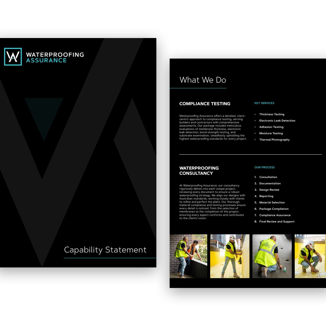 Capability statement cover and a What we do page